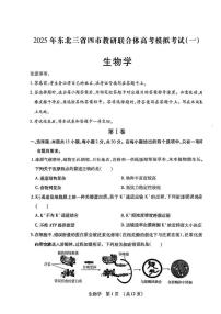 东北三高考模拟省四市联考2025届高三高考模拟第二次模拟-生物试题+答案