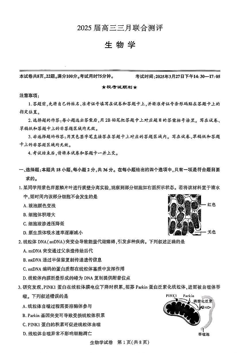2025届湖北省圆创联盟高三三月测评生物试题 圆创生物学试题第1页