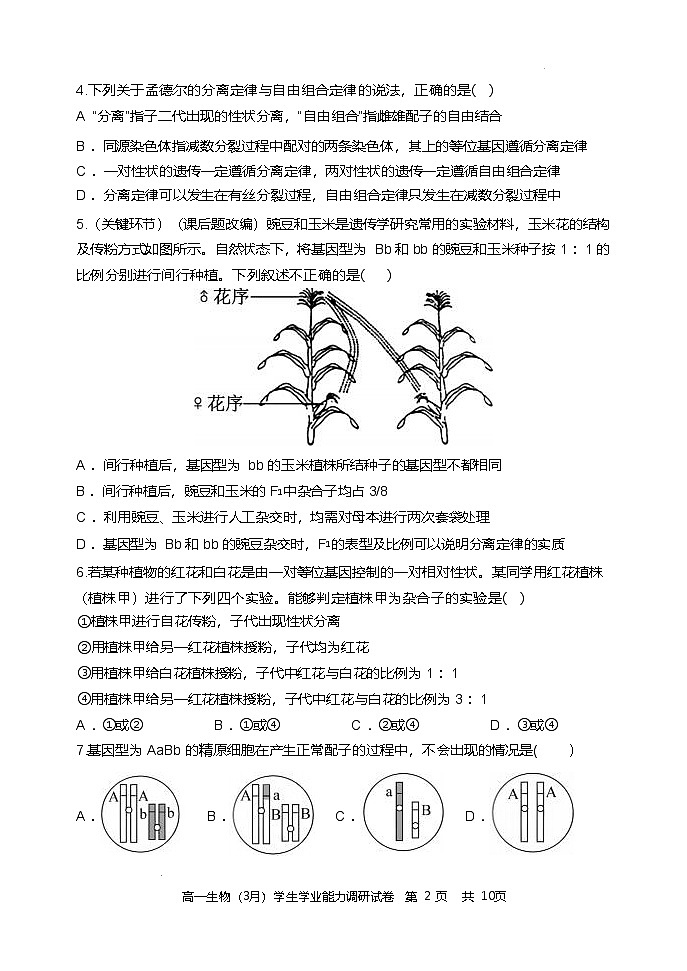 天津市静海区第一中学2024-2025学年高一下学期3月学生学业能力调研生物试题(Word版附答案)第2页