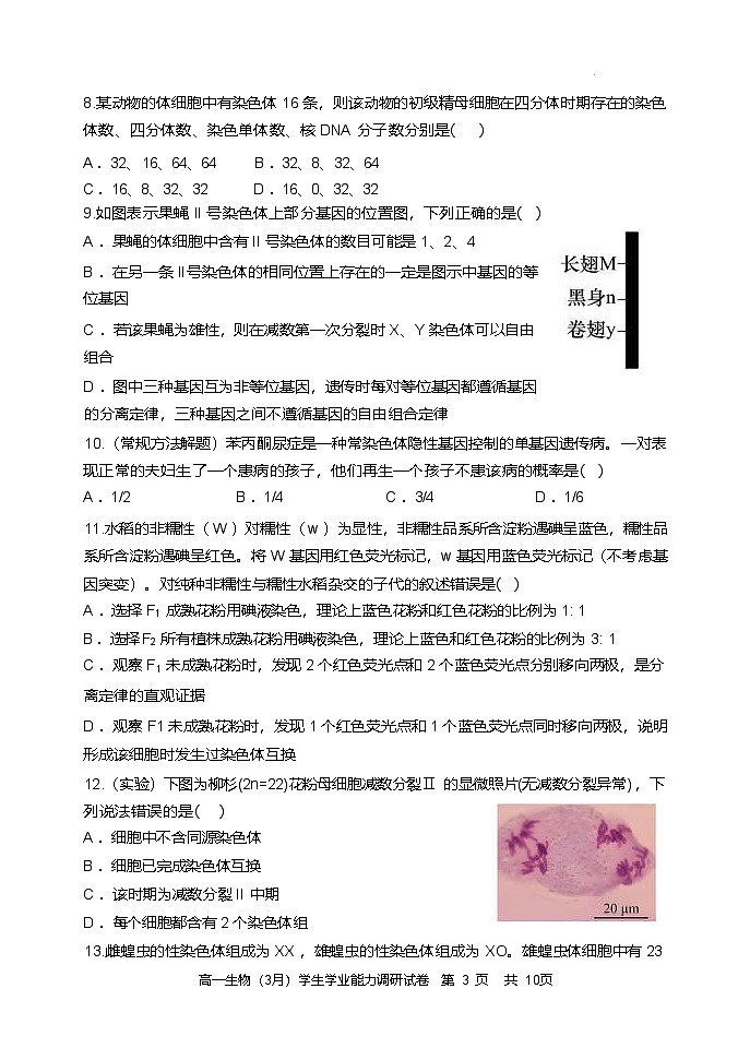天津市静海区第一中学2024-2025学年高一下学期3月学生学业能力调研生物试题(Word版附答案)第3页