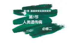 5.3 人類遺傳?。ňv課件）-2024-2025學(xué)年高一生物（人教版2019必修2）