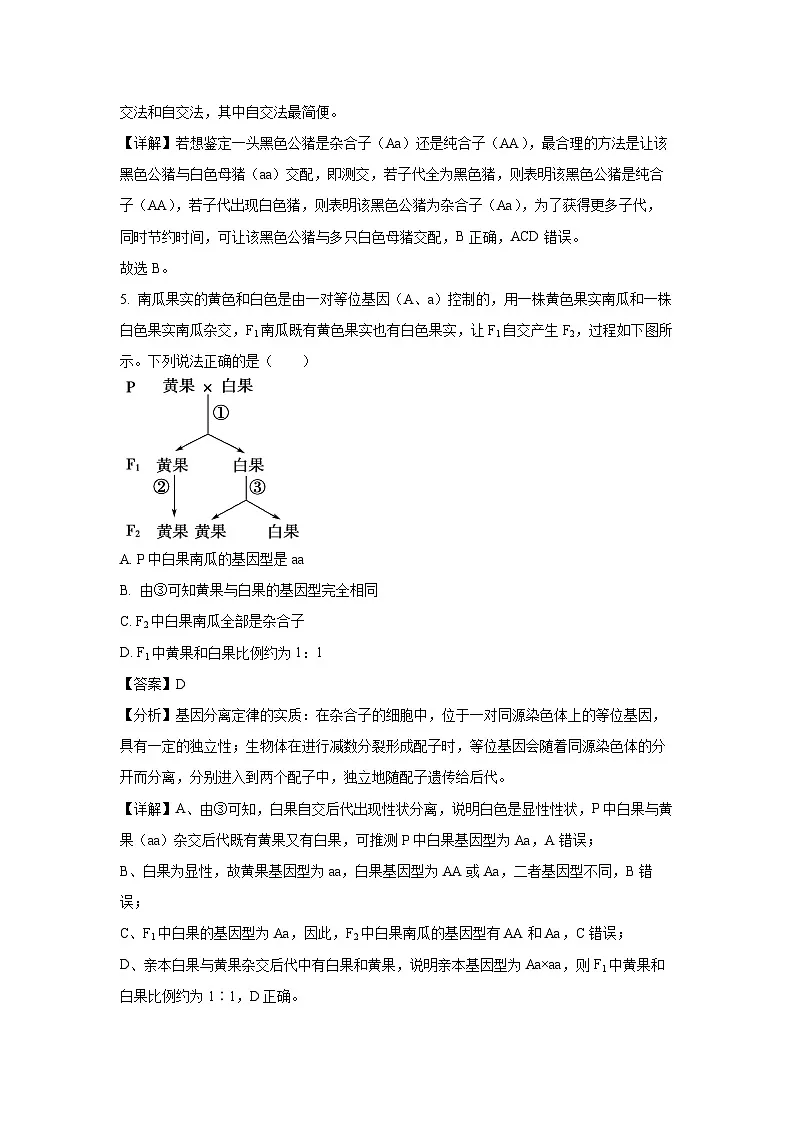 陕西省2024-2025学年高一下学期3月月考生物试卷(解析版)第3页