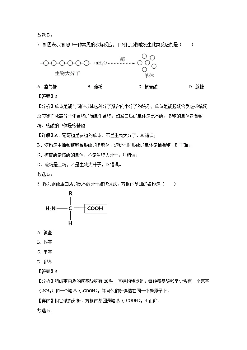 江苏省徐州市2024-2025学年高二上学期学业水平合格性考试模拟(12月)生物试卷(解析版)第3页