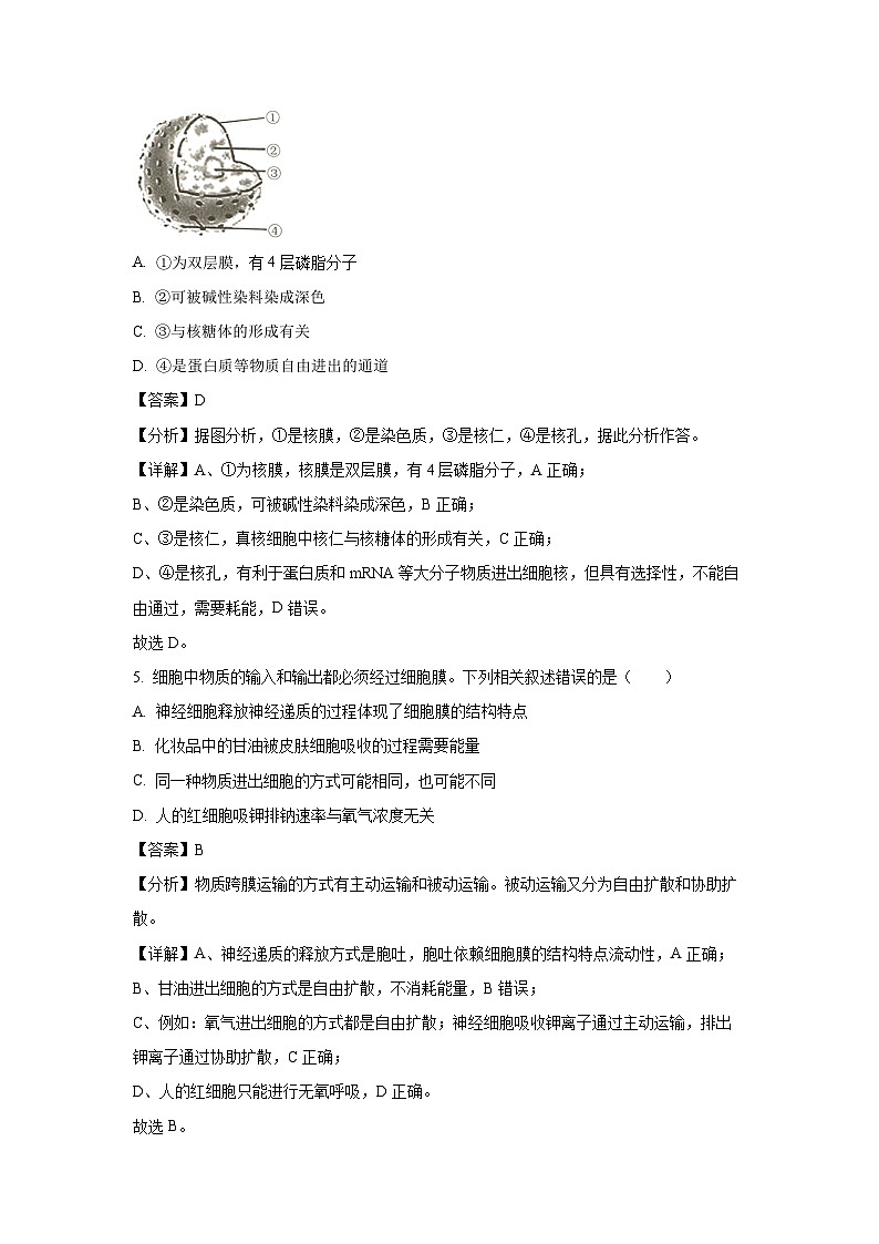 湖南省常德市汉寿县第一中学2024-2025学年高一下学期2月月考生物试卷(解析版)第3页