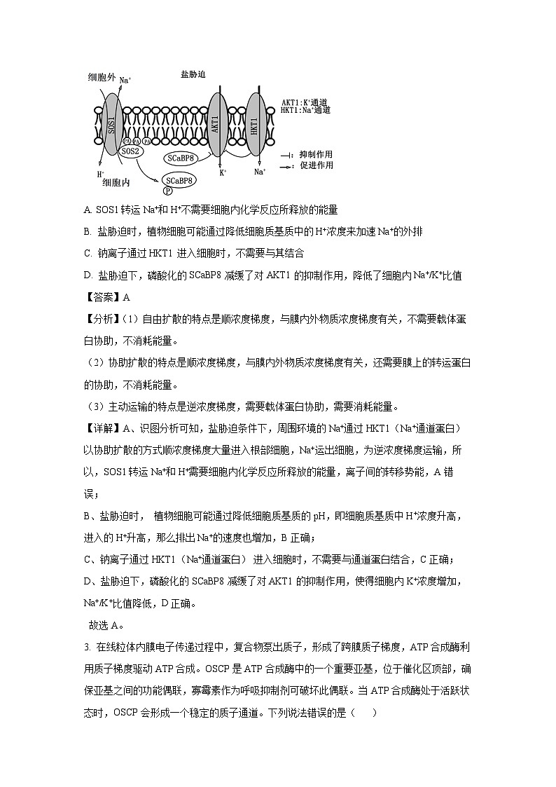 山东省临沂市2025届高考二模生物试卷(解析版)第2页