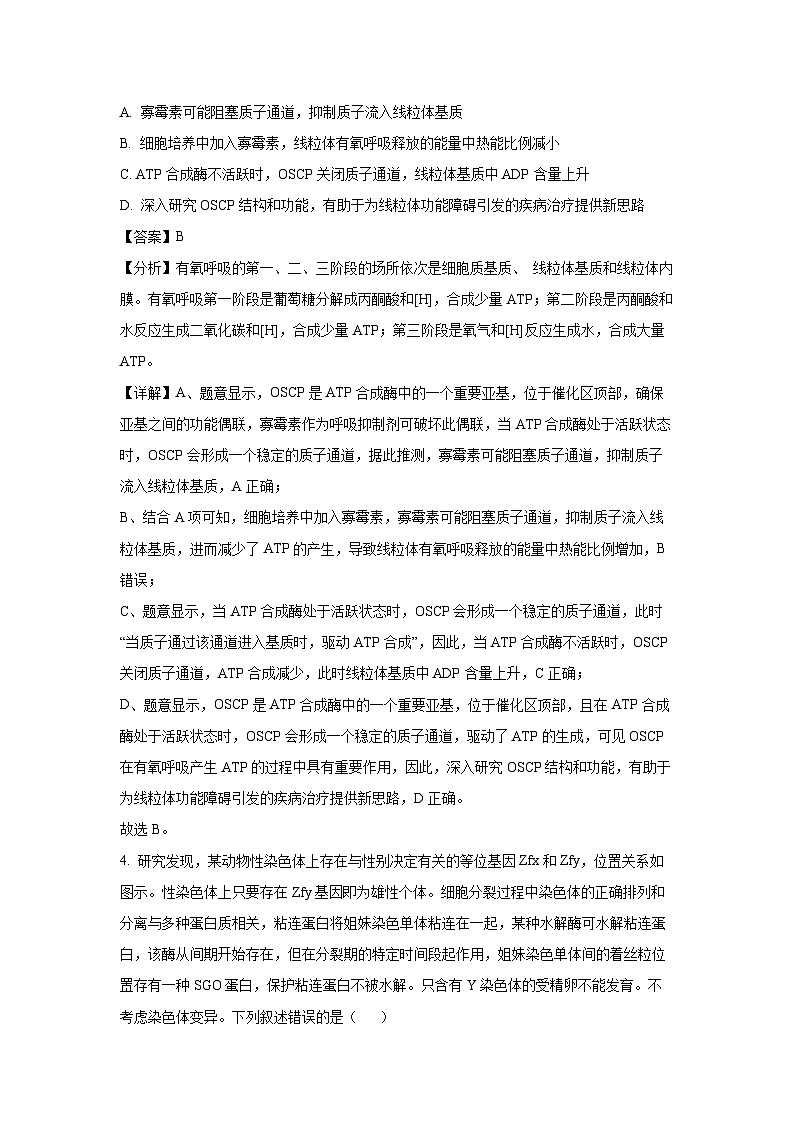 山东省临沂市2025届高考二模生物试卷(解析版)第3页