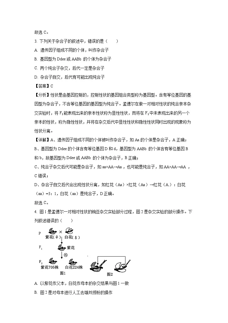 山东省三月大联考2024-2025学年高一下学期3月月考生物试卷(解析版)第2页