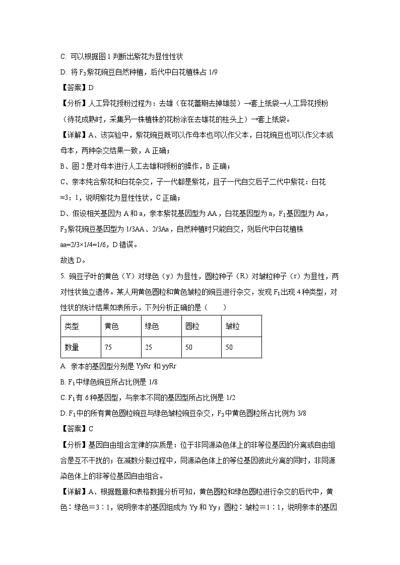 山东省三月大联考2024-2025学年高一下学期3月月考生物试卷(解析版)第3页