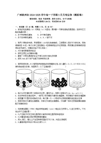 廣西欽州市2024-2025學(xué)年高一下學(xué)期3月月考生物（模擬卷）+答案