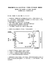 海南省儋州市2024-2025学年高一下学期3月月考生物（模拟卷）+答案
