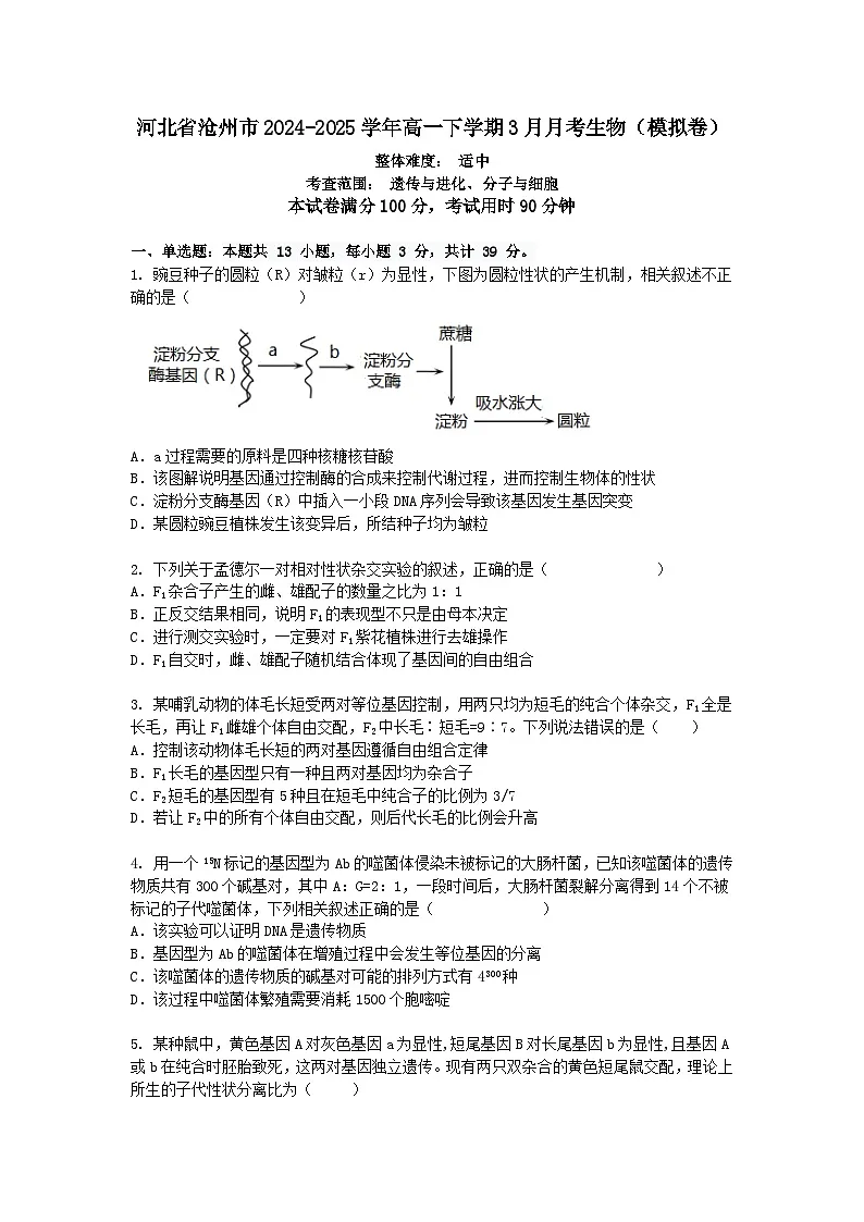 河北省沧州市2024-2025学年高一下学期3月月考生物(模拟卷)+答案第1页