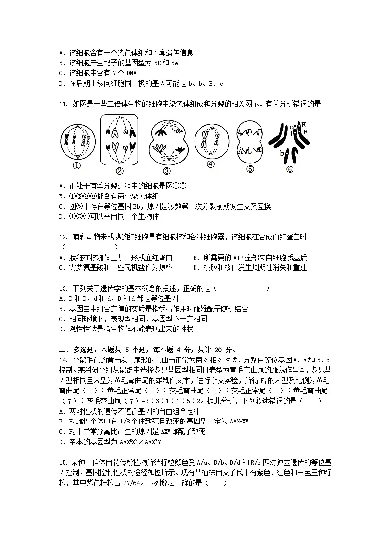 河北省沧州市2024-2025学年高一下学期3月月考生物(模拟卷)+答案第3页