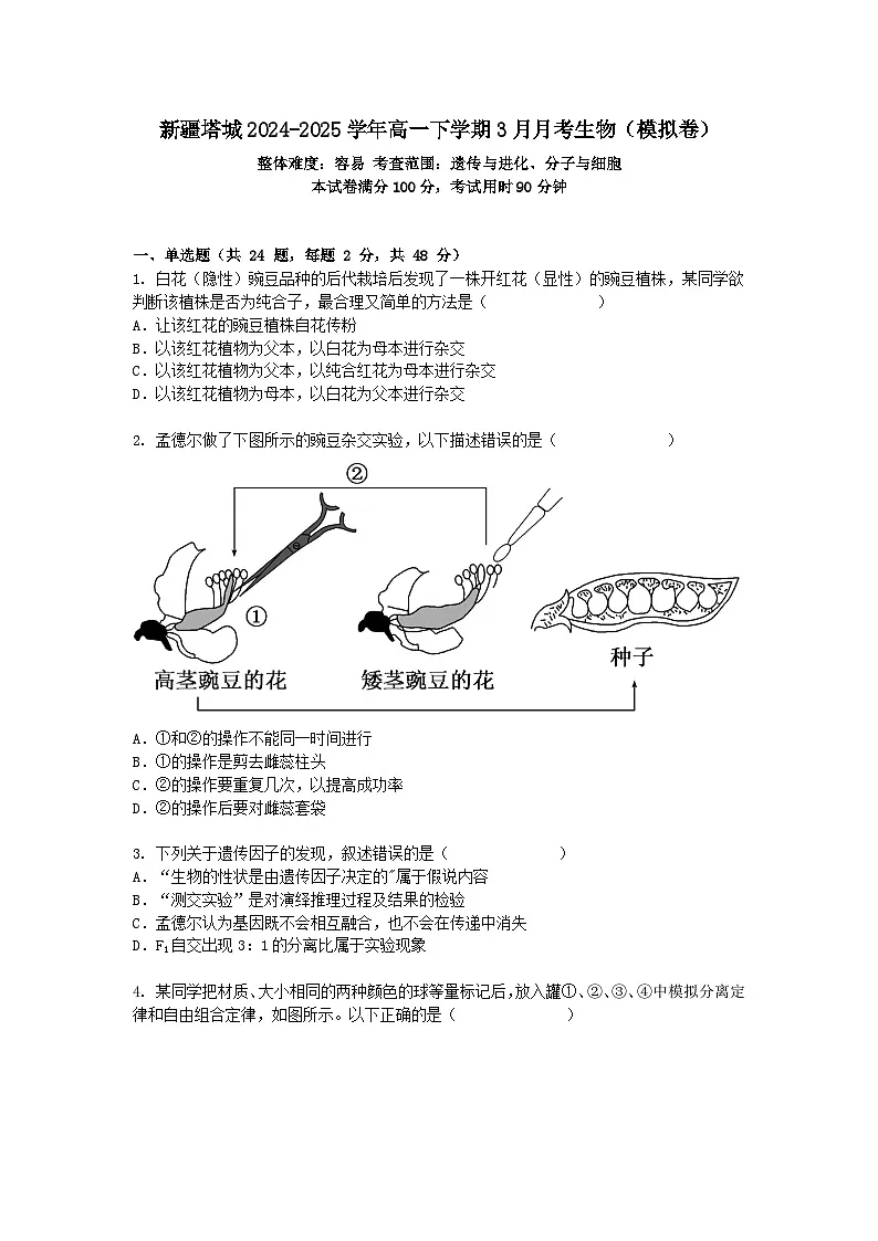 新疆塔城2024-2025学年高一下学期3月月考生物(模拟卷)+答案第1页