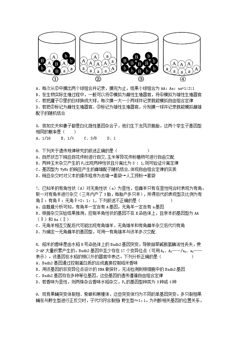 新疆塔城2024-2025学年高一下学期3月月考生物(模拟卷)+答案第2页