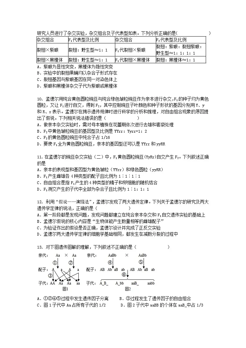新疆塔城2024-2025学年高一下学期3月月考生物(模拟卷)+答案第3页
