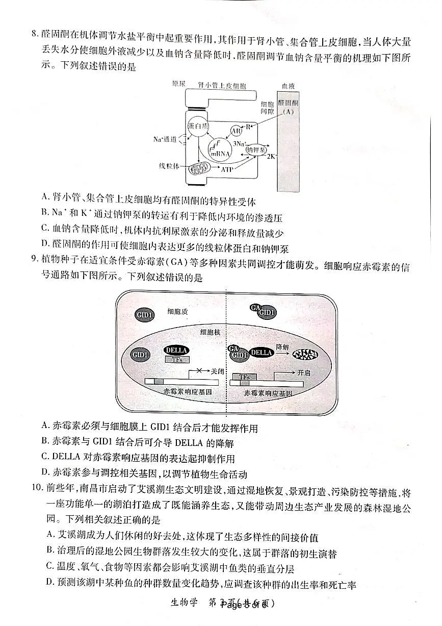 2024届江西省高三下学期一轮总复习验收考试(2月)-生物试题(含答案)第3页