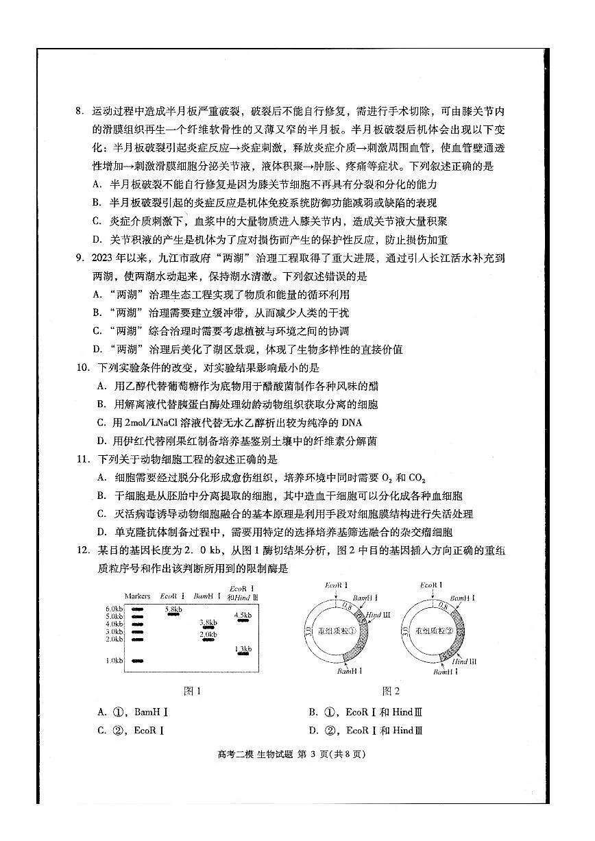 2024届江西省九江市高三下学期二模-生物试卷(含答案)第3页