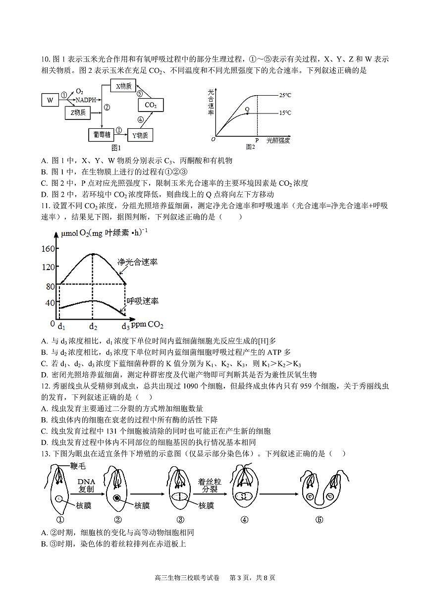 2024届江西省南昌市三校联考高三上学期11月期中-生物试题(含答案)第3页