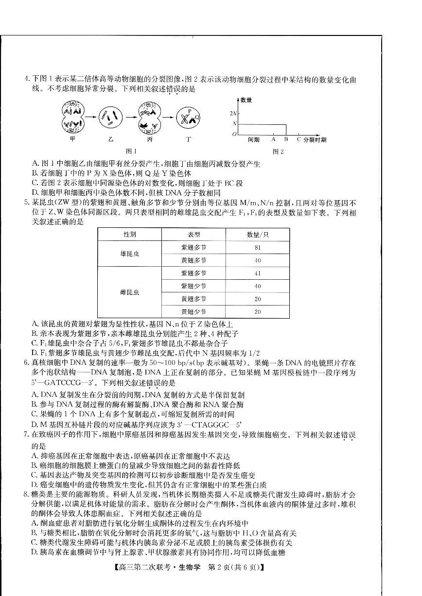 2024届江西省重点中学盟校高三下学期第二次联考-生物试卷(含答案)第2页