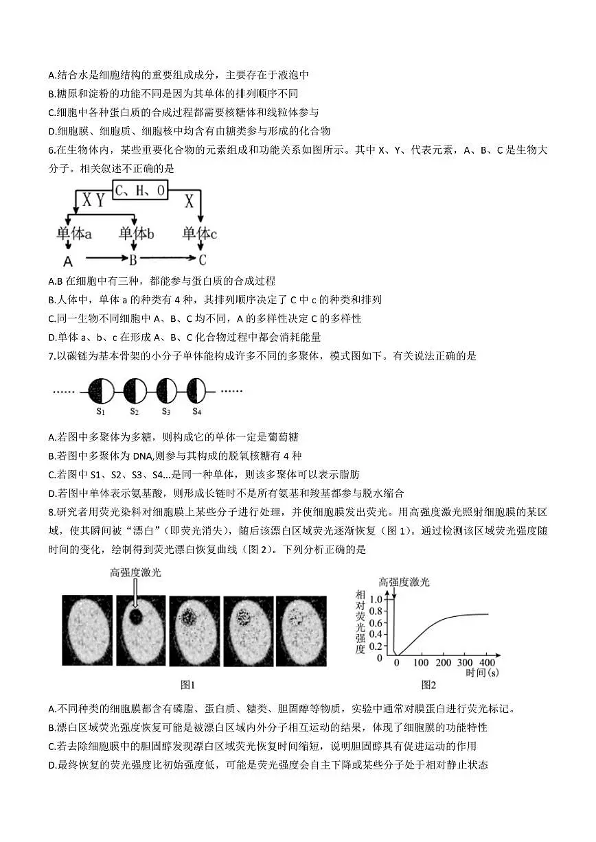 2024届辽宁沈阳高二下学期(期末考)-生物试题(含答案)第2页