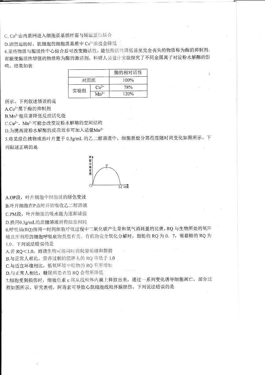 2024屆山東省高三上學期適應性聯(lián)考（一）(11月)-生物試題（含答案）第2頁