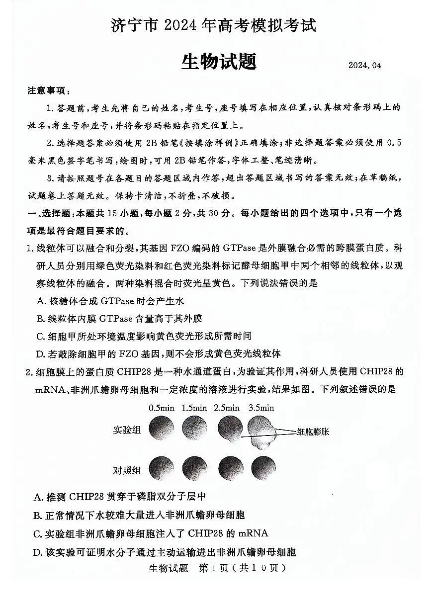 2024届山东省济宁市高三第二次模拟-生物试卷(含答案)第1页
