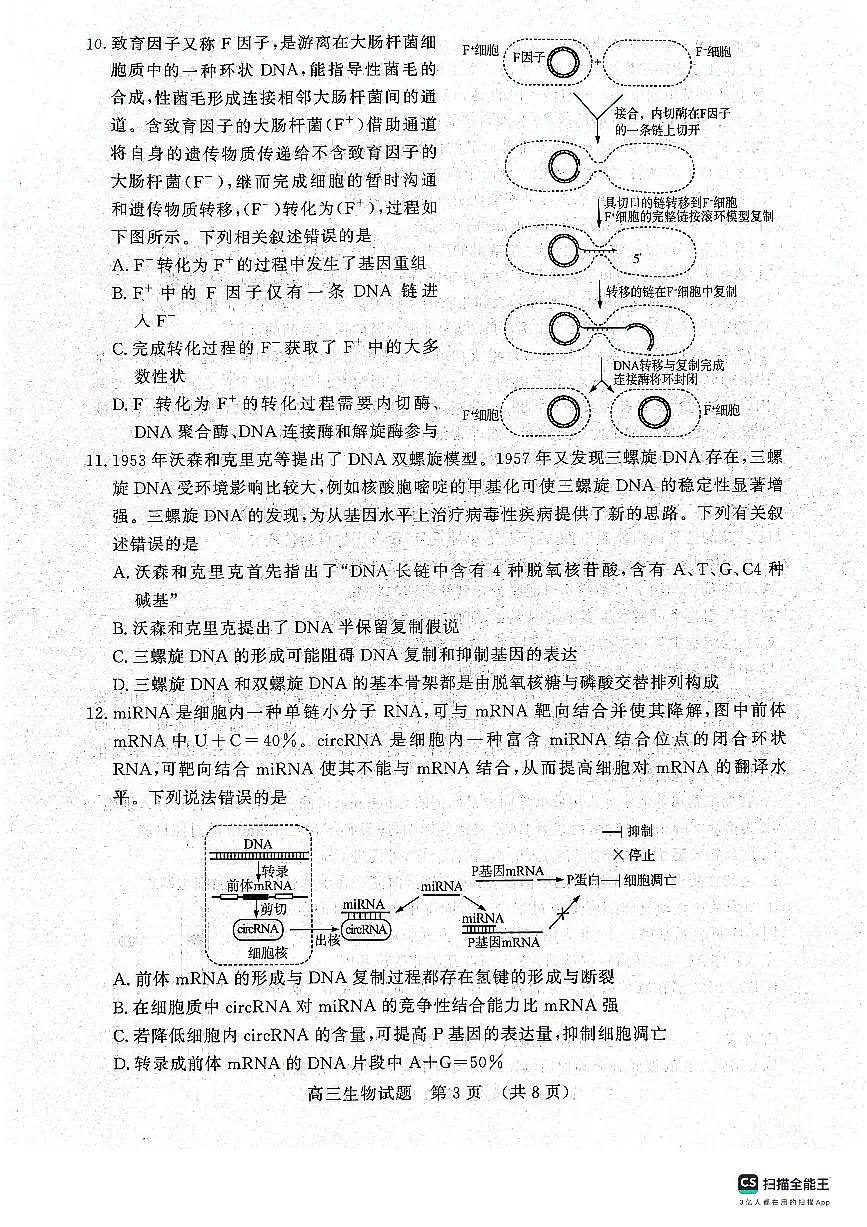 2024届山东省名校考试联盟高三上学期11月期中检测-生物试题(含答案)第3页