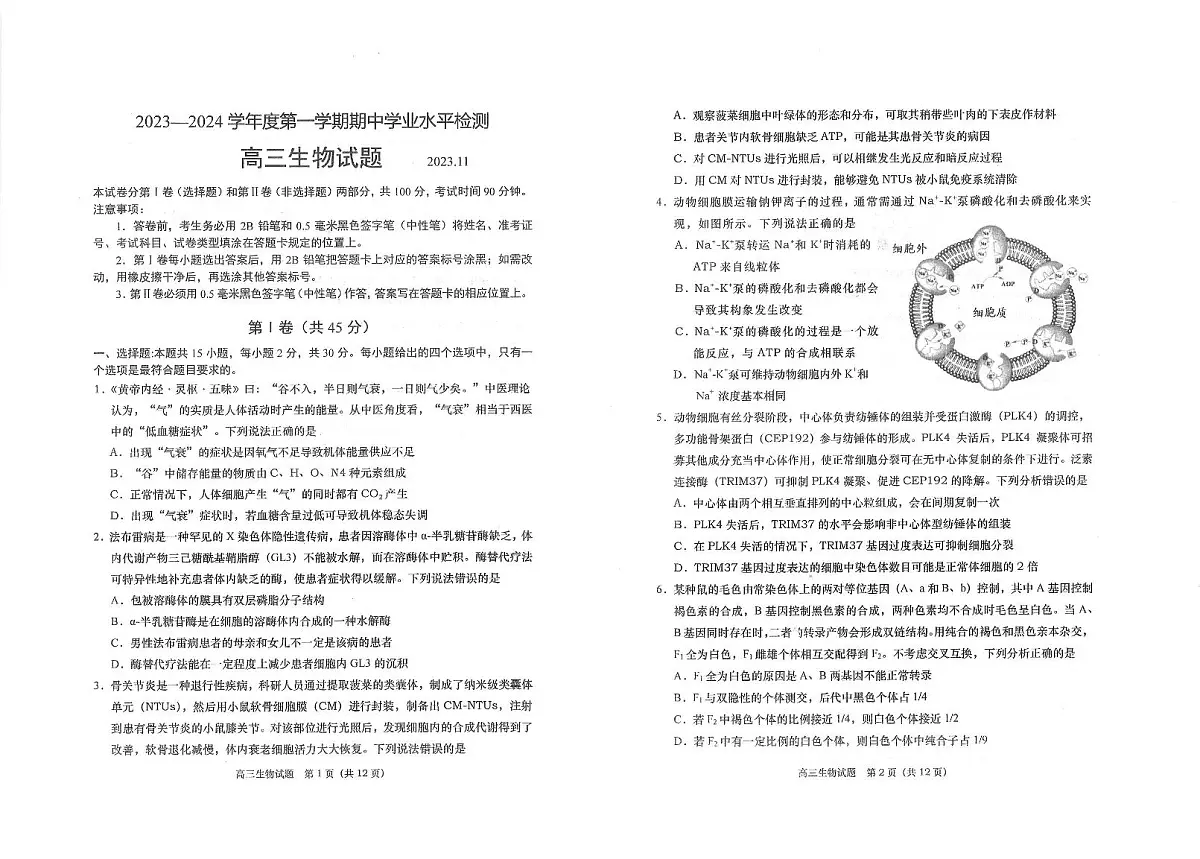 2024届山东省青岛市四区统考高三上学期期中-生物试题(含答案)第1页