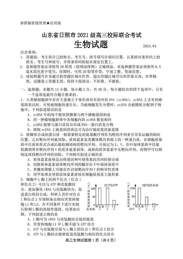 2024届山东省日照高三二模-生物试卷(含答案)第1页