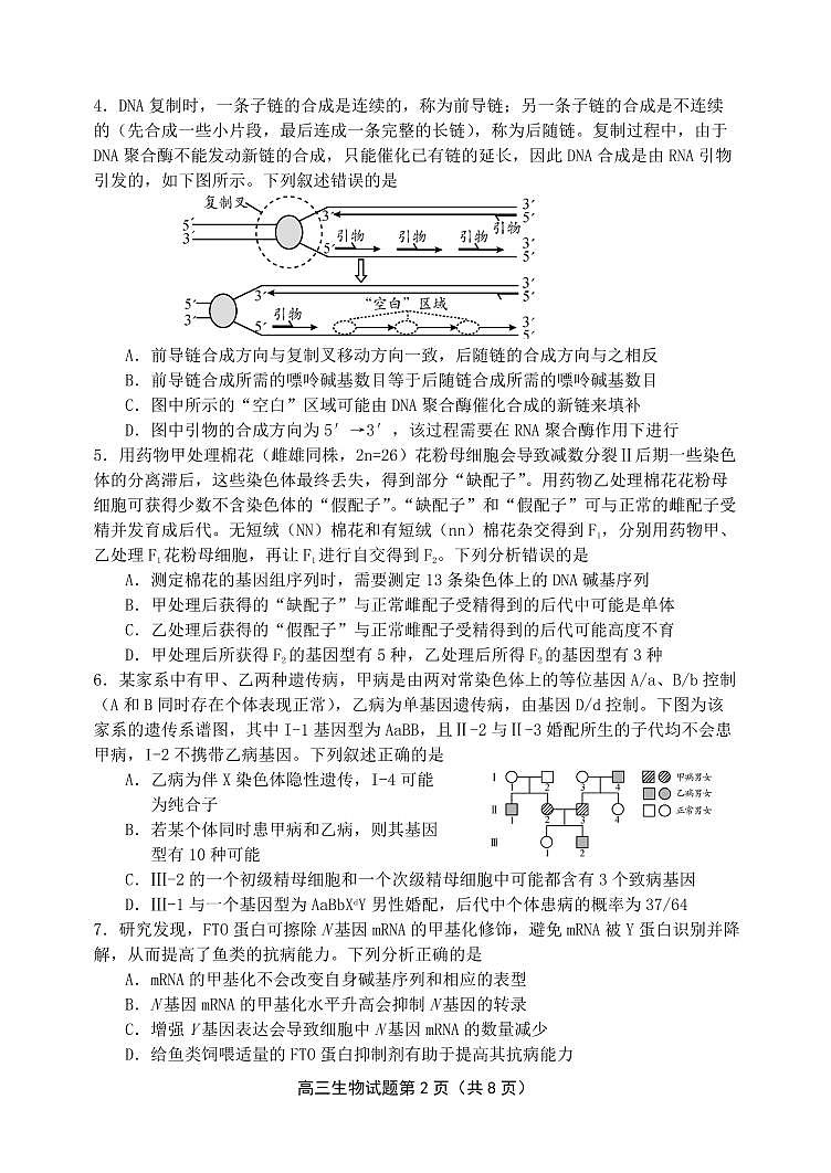 2024届山东省日照高三二模-生物试卷(含答案)第2页