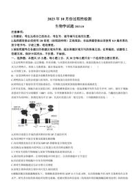 2024届山东省潍坊市高三上学期10月检测-生物试题（含答案）