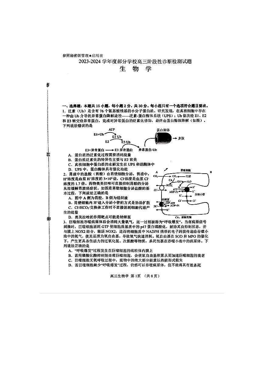 2024届山东省淄博市高三下学期阶段性诊断(二模)-生物试卷(含答案)第1页