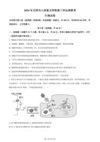 2024届天津市八所重点高三上学期期末联考(1月)-生物试题（含答案）