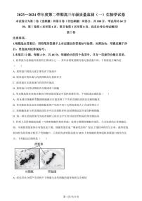 2024届天津市南开区高三下学期一模-生物试卷（含答案）