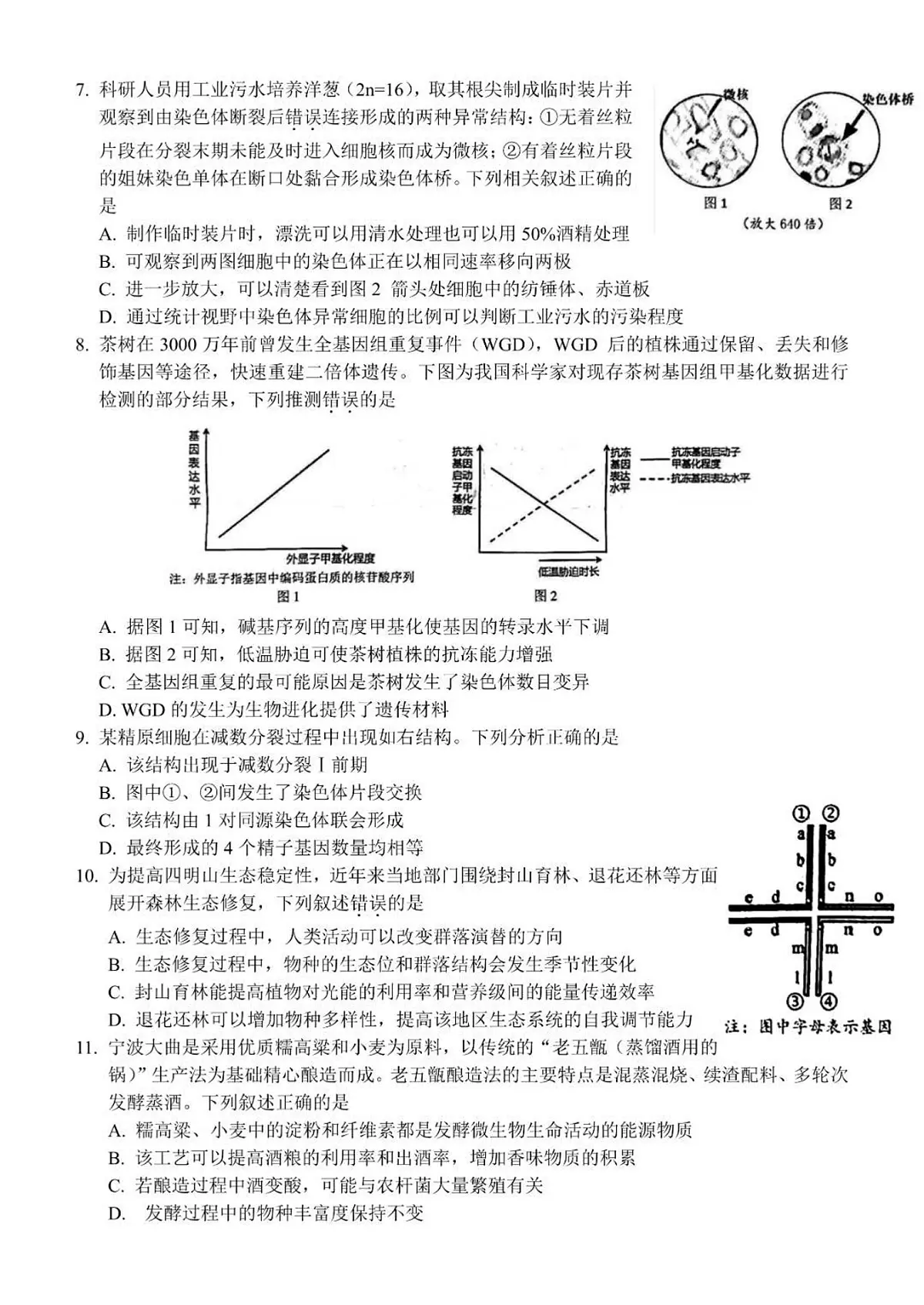 2024届浙江省宁波市高三下学期二模-生物试卷(含答案)第2页