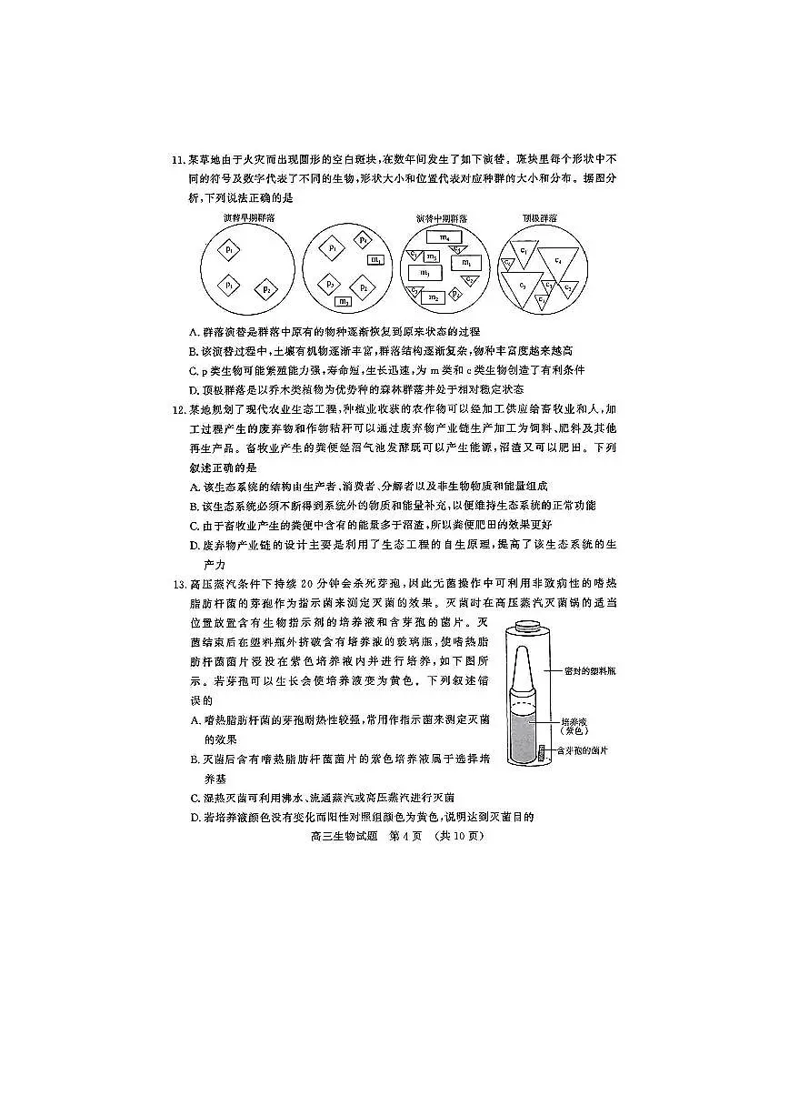 2024山东省济南一模高三模拟考试-生物试卷(含答案)第3页