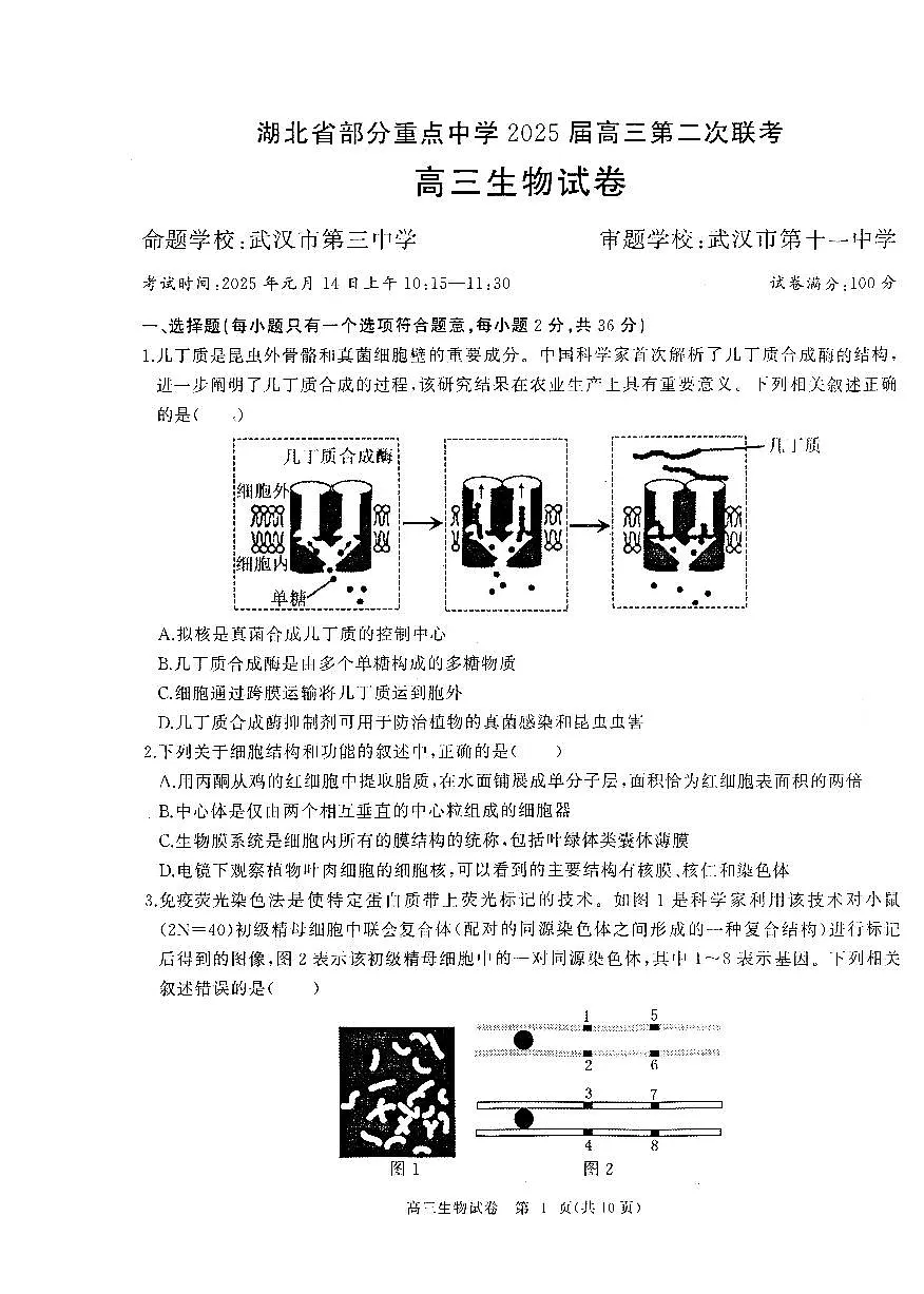 2025湖北省部分重点中学高三第二次联考 生物试卷(含答案)第1页