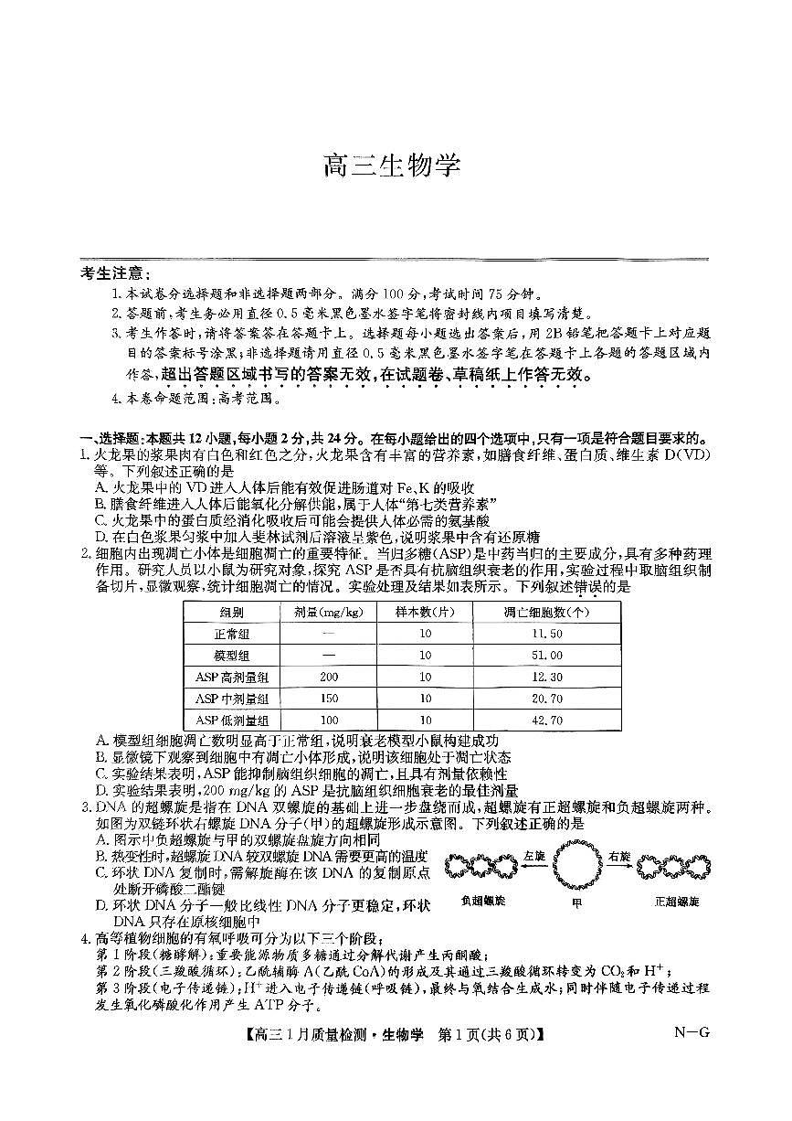 2025届九师联盟高三上学期1月期末生物试题(含答案)第1页