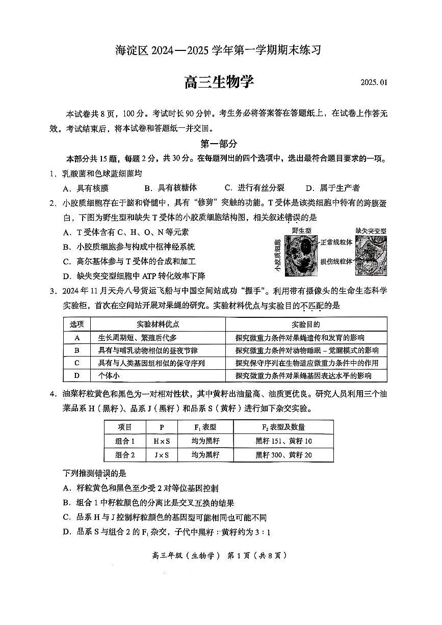 北京市海淀区2024-2025学年上学期高三期末练习生物试卷(含答案)第1页