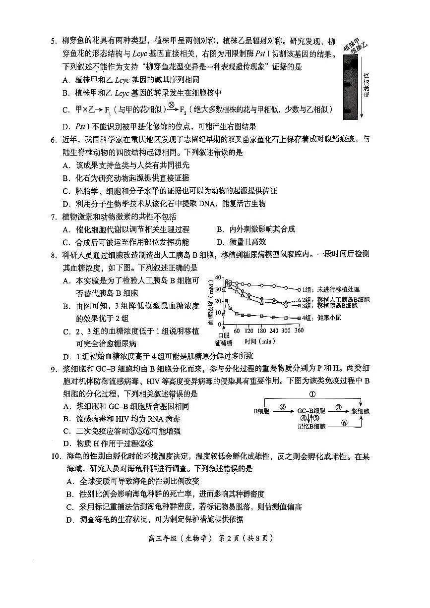北京市海淀区2024-2025学年上学期高三期末练习生物试卷(含答案)第2页