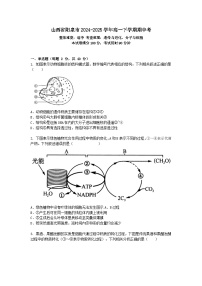 山西省阳泉市2024-2025学年高一下学期期中考生物试卷+答案