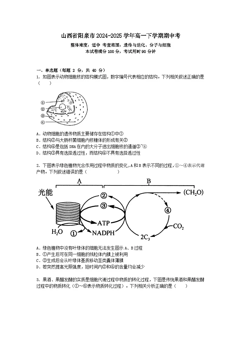 山西省阳泉市2024-2025学年高一下学期期中考生物试卷+答案第1页