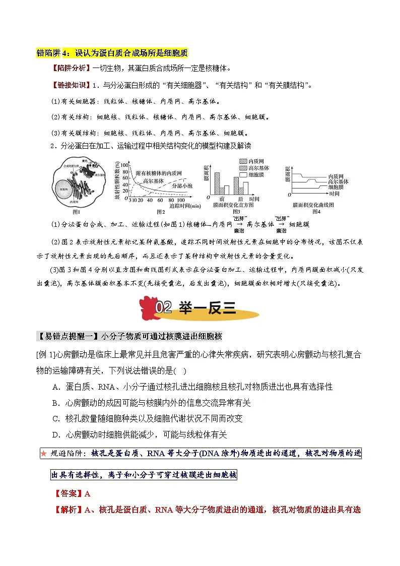 2025年高考生物考试易错题(新高考通用)易错点03细胞器结构与功能的易错比较(4大陷阱)(教师版)第3页