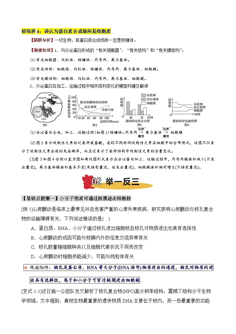 2025年高考生物考试易错题(新高考通用)易错点03细胞器结构与功能的易错比较(4大陷阱)(学生版)第3页