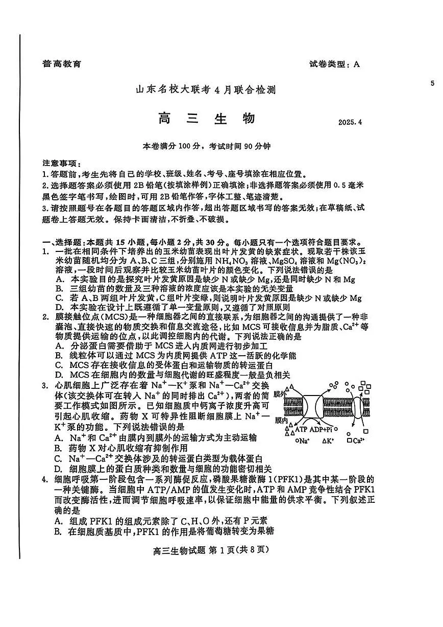 山东名校大联考2025届高三下学期4月考校际联合检测-生物试题+答案第1页