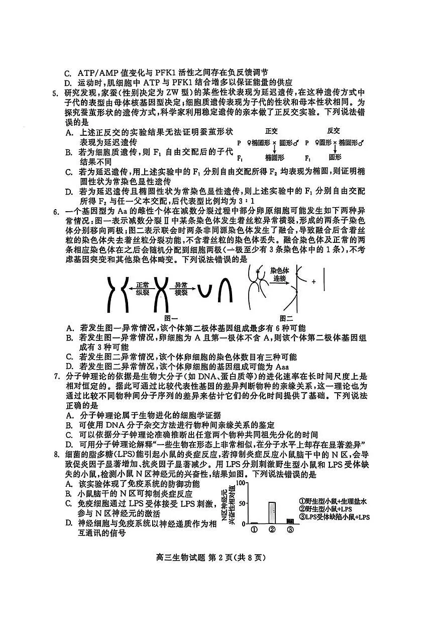 山东名校大联考2025届高三下学期4月考校际联合检测-生物试题+答案第2页