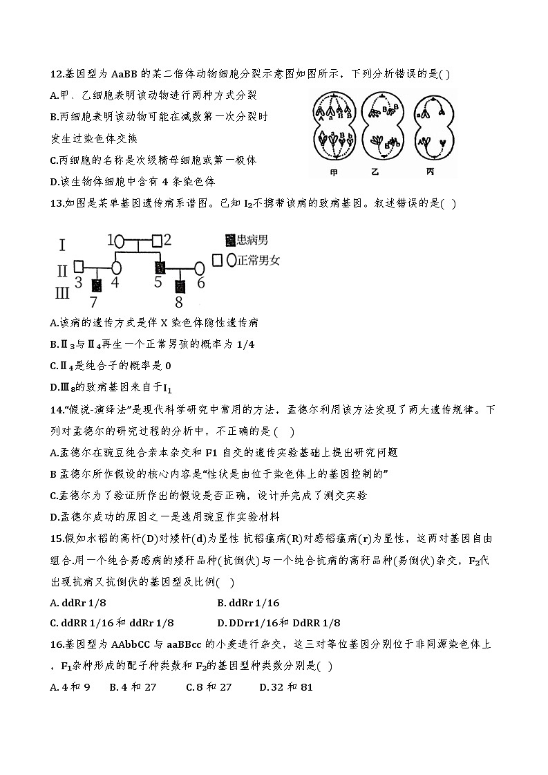 天津市东丽区天津市第一百中学2024-2025学年高一下学期4月月考生物试题第3页