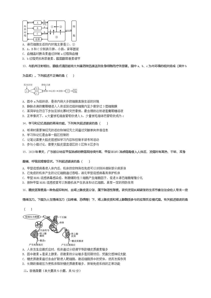 云南省玉溪師范學(xué)院附屬中學(xué)2022-2023學(xué)年高二上學(xué)期期中考試生物試題第3頁(yè)