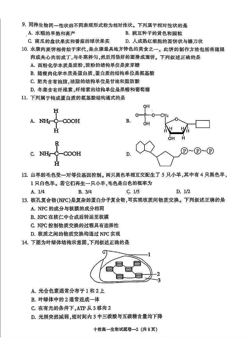 浙江省金华十校2024-2025学年高一上学期期末调研考试 生物试卷(含答案)第2页