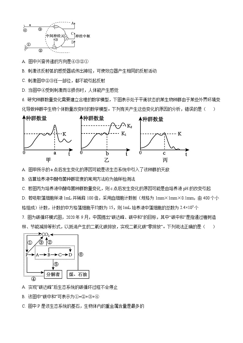 遼寧省阜新市育才教育集團(tuán)2024-2025學(xué)年高二下學(xué)期開學(xué)考試生物試卷  Word版無答案第3頁